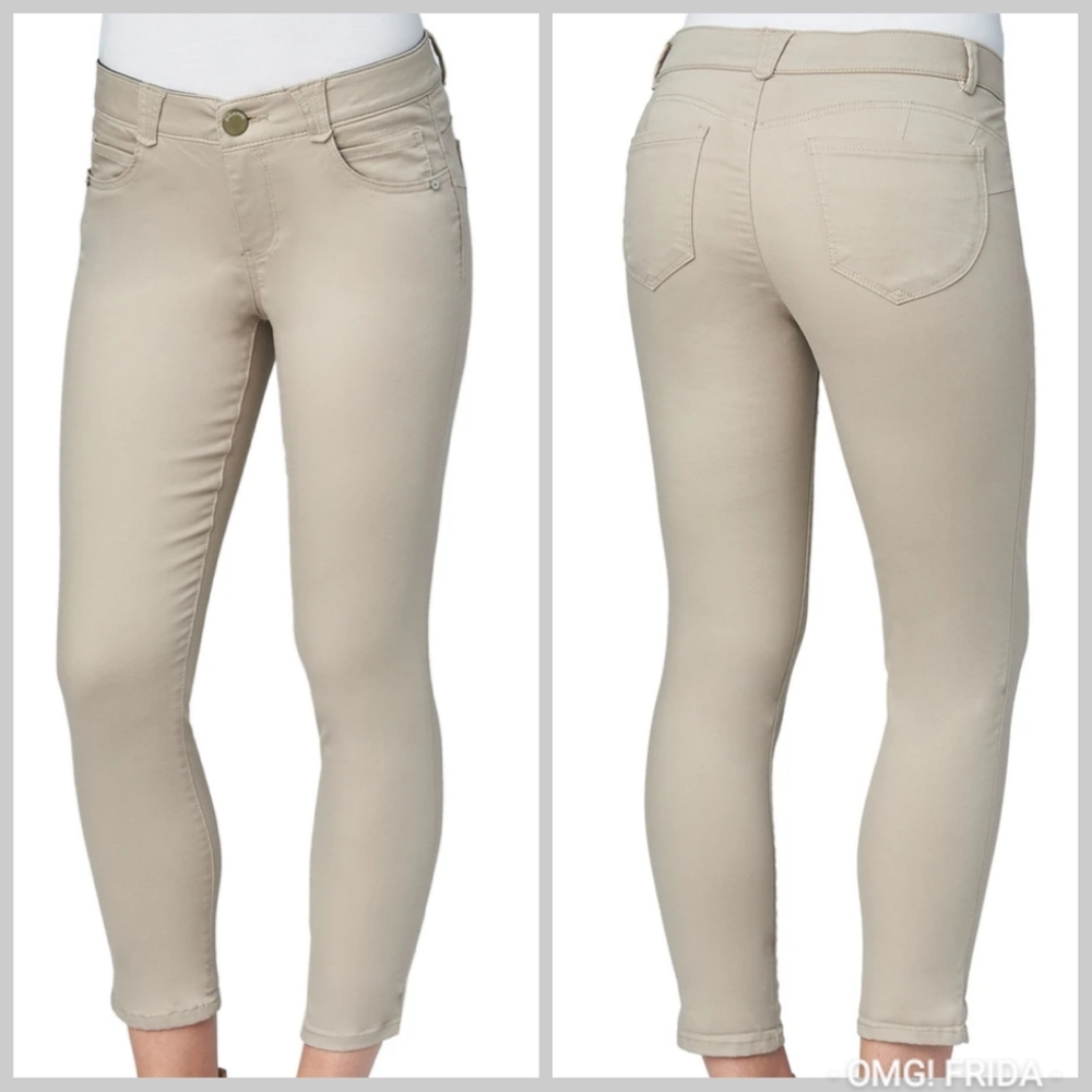 Wit & Wisdom skinny skimmer pants